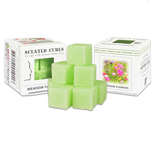 Duftwachs Aroma Würfel mit Keramik-Verdunster | Palmöl | Scented Cubes | 3x8 Duftwürfel Pack (24 Miniwürfel) in verschiedenen Düften | Duftkerze | Duft Würfel für Teelicht (Wiesenblumen) von Tolle Idee