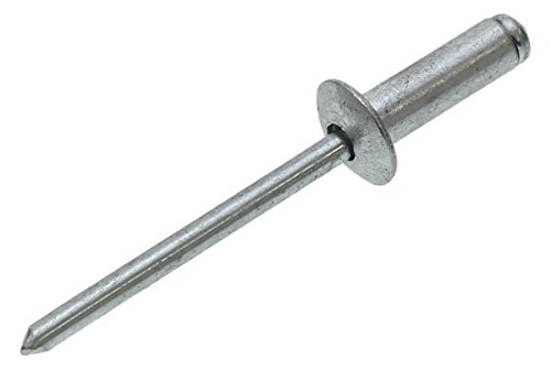Tolsen PN27011610010172943 Ersatznieten (4 mm x 12,7 mm), 50 Stück von Tolsen
