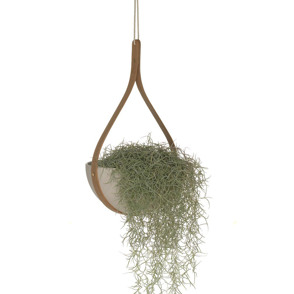 Tom Raffield - Morvah Celing Hanging Planter - Blumentopf zum Hängen von Tom Raffield