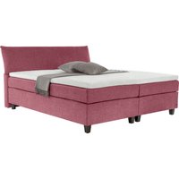 TOM TAILOR HOME Boxspringbett "COLOR BOX" von Tom Tailor Home