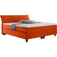 TOM TAILOR HOME Boxspringbett "COLOR BOX" von Tom Tailor Home