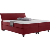 TOM TAILOR HOME Boxspringbett "COLOR BOX" von Tom Tailor Home