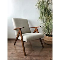 Mid Century Sessel B310 1960Er Jahre von TomRemaker