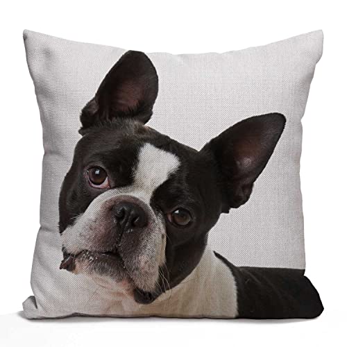 Tomda Dekorativer Kissenbezug mit französischer Bulldogge, 45 x 45 cm, Boston Terrier, Baumwoll-Leinen, Outdoor-Kissenbezug, quadratisch, Standard-Kissenbezug für Sofa, Couch, Bett, Auto, 45,7 x 45,7 Tomda Dekorativer Kissenbezug mit französischer Bulldogge, 45 x 45 cm, Boston Terrier, Baumwoll-Leinen, Outdoor-Kissenbezug, quadratisch, Standard-Kissenbezug für Sofa, Couch, Bett, Auto, 45,7 x 45,7 von Tomda