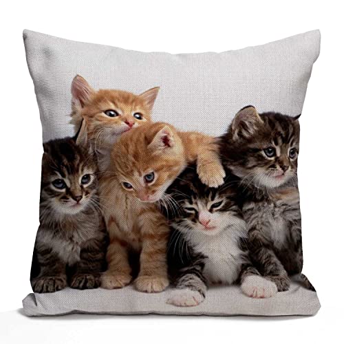 Tomda Niedliche Katzen, dekorativer Kissenbezug, 45x45 cm, Kätzchenfamilie, Katzen, Baumwolle, Leinen, Outdoor-Kissenbezüge, quadratisch, Standard-Kissenbezug für Sofa, Couch, Auto, 45.7x45.7 cm Tomda Niedliche Katzen, dekorativer Kissenbezug, 45x45 cm, Kätzchenfamilie, Katzen, Baumwolle, Leinen, Outdoor-Kissenbezüge, quadratisch, Standard-Kissenbezug für Sofa, Couch, Auto, 45.7x45.7 cm von Tomda