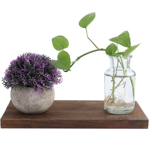 Tomedny Floating Shelves for Wall, Wall Mounted Wood Shelf Bathroom Storage Shelves Hanging Shelf for Bedroom Living Room Kitchen (30 * 14 * 2cm) von Tomedny