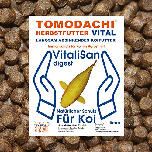 Herbstfutter Koi Sinkfutter Gesundheitsfutter VitaliSan Monoglyceride Futterverwertung Verdauung Wachstum hochverdaulich arktische Rohstoffe 5mm 1kg von Tomodachi