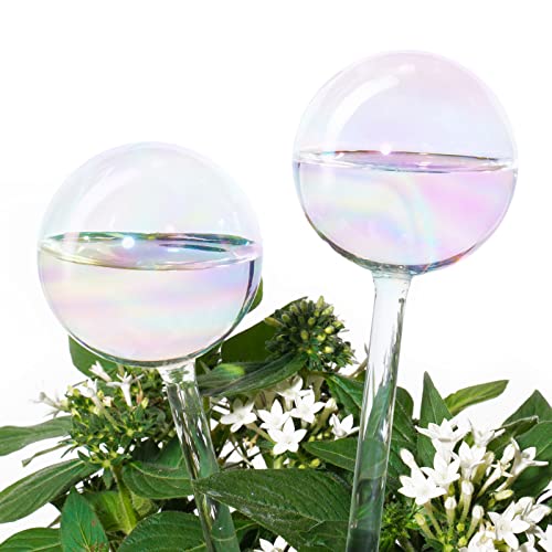 Tomorotec Selbstbewässernde Glühbirnen, automatische Pflanzenbewässerungskugeln, leicht schillernder Regenbogen-Farbverlauf, klares Glas, selbstbewässerndes System, 2 Stück von Tomorotec