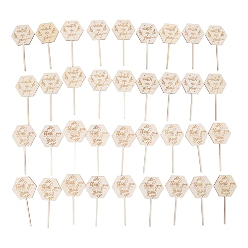 Sehen Sie, wie ich Sukkulenten Tags wachsen Pflanzenbezeichnungen hexagonale Pflanzen Tags für Gartenblumen -Topf -Dekoration Pflanzenmarkierungen 36pcs von Tomotato