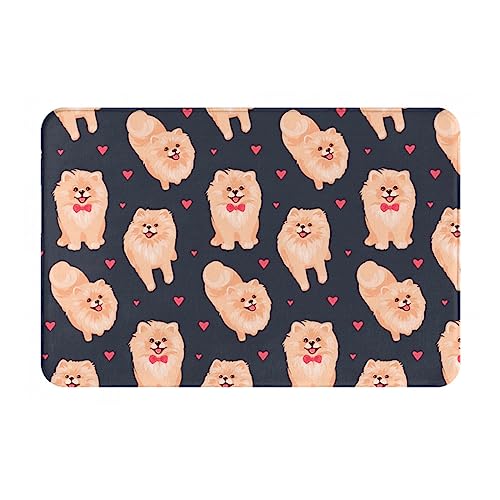 Tomppy Pomeranians Welpen bedruckte Fußmatte rutschfeste Willkommensmatten langlebige Fußmatten für den Außenbereich Eingangsbereich Türmatte Teppich für Innen- und Außeneingänge 60 x 40 cm von Tomppy