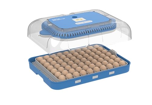 Tomvorks 70 Eier Inkubator mit Einstellbarem Eierschalen, LCD -Bildschirm und Eierschander, Automatischem Ei, das Zum Schlüpfen und Grüben Gedreht wird. Geeignet (EU -Stecker) von Tomvorks