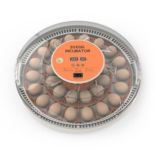 Tomvorks Ei-Inkubator mit Automatischem Eier Drehen, Feuchtigkeit Kontrolle, Temperatur Anzeige und Eier Kerzen Licht Gemütlicher Inkubator, Sichtbares Design, Sicheres Material, (EU -Stecker) von Tomvorks