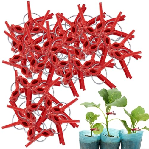 Pflanzen-Veredelungsclip, -Pfropf-Stützklemme – Stützklemme für Gemüsewachstum, Tomatensämling-Befestigungswerkzeug für Auberginen, Obst von Tongfer