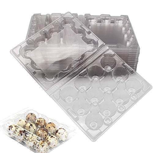 50 Stück Wachtelei-Schachteln, 12 Gitter Wachtelei-Kartons PVC-Eierhalter Transparente Eierschalen mit Deckel Eier Aufbewahrungsbox für Kühlschrank von Tongyundacheng
