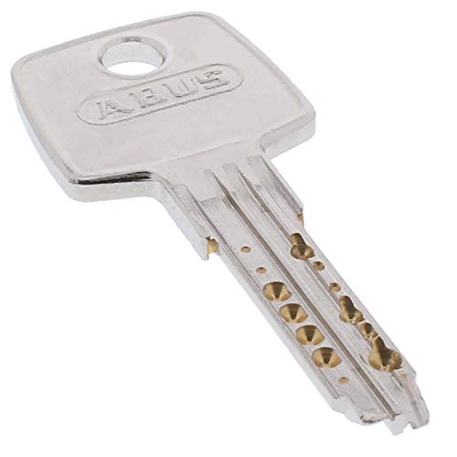 1x zusätzlicher Schlüssel zum gewählten EC550 Türzylinder von ToniTec