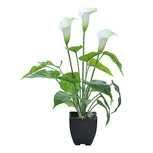 Tonsee Accessoire Blumensimulation Grüne Bonsai-Simulationen Calla-Pflanzen Simulationen künstliche Blumen Osterglocken Künstlich Wie Echt (White, One Size) von Tonsee Accessoire