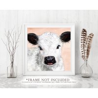 Weißes Miniatur-Galloway-Kalb Kunstdruck Kalb Bild Baby Kuh Mini Poster Süße Wandkunst Weißes Miniatur-Galloway-Kalb Kunstdruck Kalb Bild Baby Kuh Mini Poster Süße Wandkunst von ToodlesAndJay