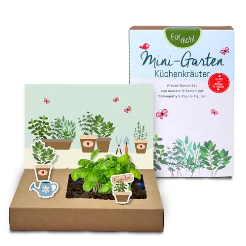 Tool & Tree mini-Garten Küchenkräuter Set – Nachhaltiges Anzuchtset mit Basilikum-Saatgut, Anzuchtschale & Pop-Up-Deko – für Gärtner, Kinder & kreative Köpfe – inkl. Anzuchterde & Kräutererde Tool & Tree mini-Garten Küchenkräuter Set – Nachhaltiges Anzuchtset mit Basilikum-Saatgut, Anzuchtschale & Pop-Up-Deko – für Gärtner, Kinder & kreative Köpfe – inkl. Anzuchterde & Kräutererde von Tool & Tree