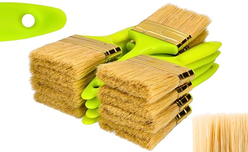 ToolSpace 12er Set Flachpinsel - 76 mm - Flachpinsel zum Malen - Ergonomischer Kunststoffstiel - Naturborsten mit Synthetikborstenmischung - Dichte Borsten - Für alle Arten von Farbe. ToolSpace 12er Set Flachpinsel - 76 mm - Flachpinsel zum Malen - Ergonomischer Kunststoffstiel - Naturborsten mit Synthetikborstenmischung - Dichte Borsten - Für alle Arten von Farbe. von ToolSpace