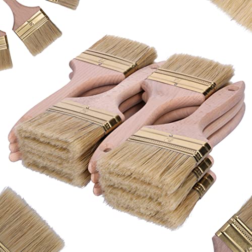 ToolSpace Pinselset Borstenpinsel 12er Set 76mm Breit Flachpinsel Naturborsten Einwegpinsel oder Universal Pinsel Lackierpinsel Lackpinsel für Lacke Holz Möbel Malerpinsel Wandpinsel Streichpinsel von ToolSpace