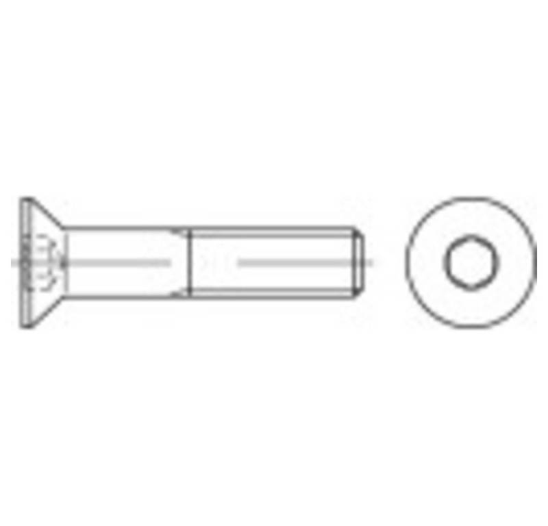 TOOLCRAFT Schraube TOOLCRAFT 401628 Senkschrauben M3 6 mm Innensechskant DIN 7991 Edel von Toolcraft