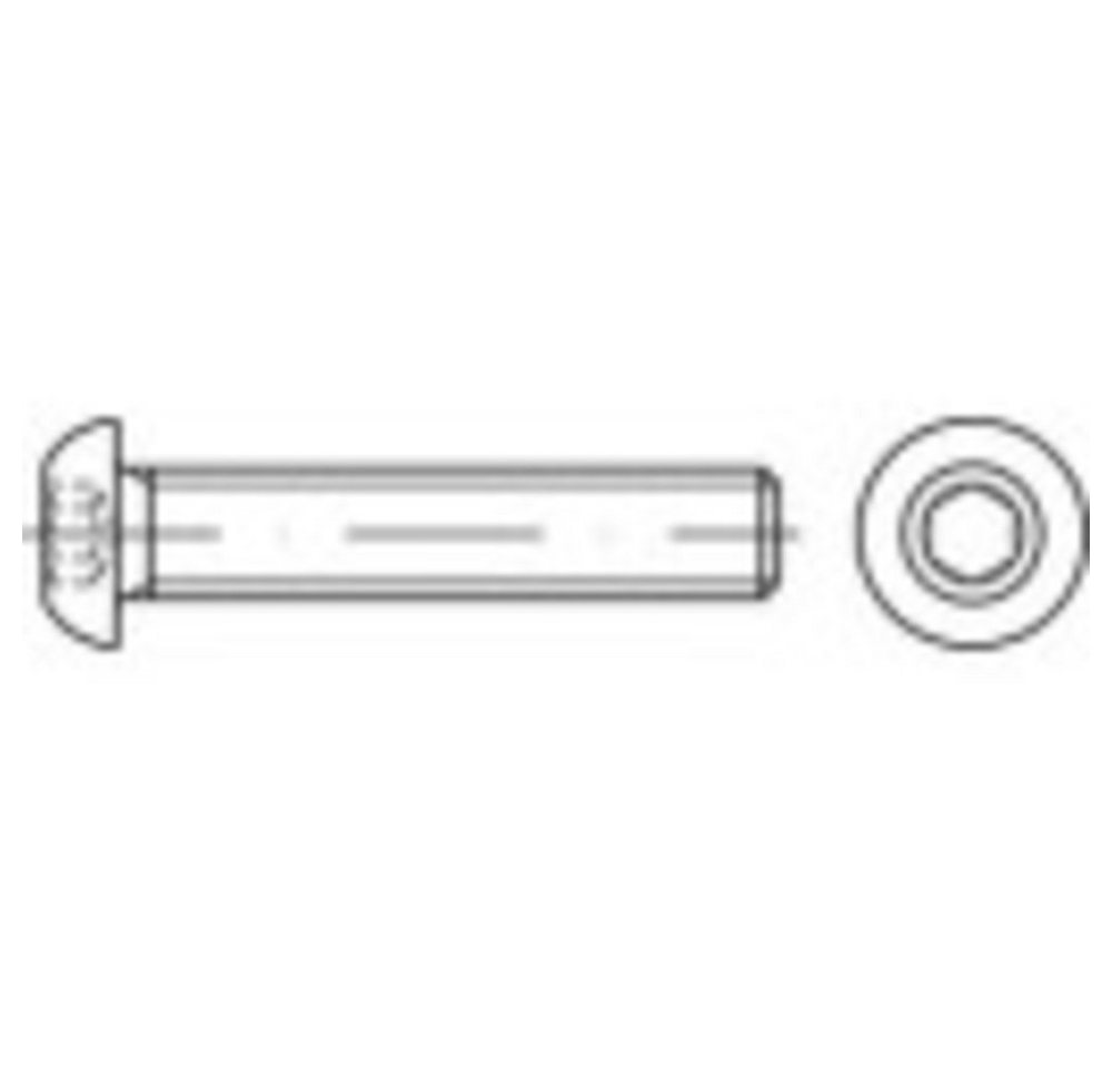 TOOLCRAFT Schraube TOOLCRAFT TO-5380941 Linsenschrauben M3 10 mm Innensechskant Edels TOOLCRAFT Schraube TOOLCRAFT TO-5380941 Linsenschrauben M3 10 mm Innensechskant Edels von Toolcraft