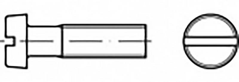 Toolcraft To 6865248 M4 35 Mm Schlitz Messing 200 St. Zylinderkopfschraube B-Ware von Toolcraft