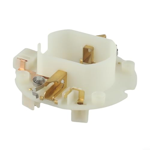 Abbruchhammer Kohlebürstenhalter 632D002 passend für HM1307 HM1203C Modelle von ToolsEvery