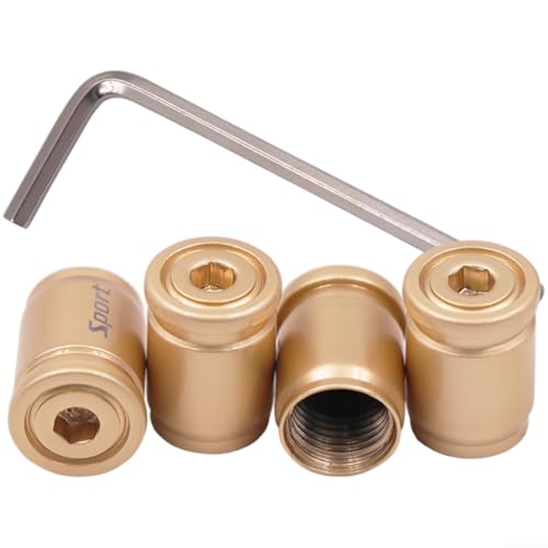 Anti-Diebstahl-Ventilschaftabdeckungen mit sicherem Schloss für Auto- und Motorradreifen mit eingebauter EPDM-Gummidichtung für luftdichte Abdichtung, Legierungsmaterial (goldenes Set) von ToolsEvery