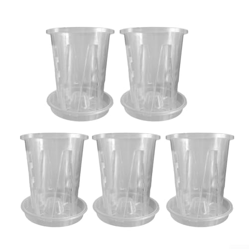 Wunderschöne transparente Blumentöpfe mit praktischen Untersetzern, um den Charme jedes Wohnraums zu verschönern (5 Sets Nr. 12) von ToolsEvery