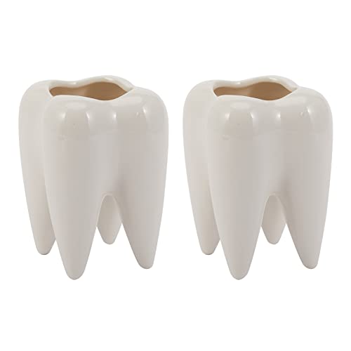 Toolvvik 2X Zahnform Weisse Keramik Blumentopf Modernes Design Pflanzgefaess Zaehne Modell Mini Desktop Topf Kreative Geschenk (Ohne Pflanzen) von Toolvvik