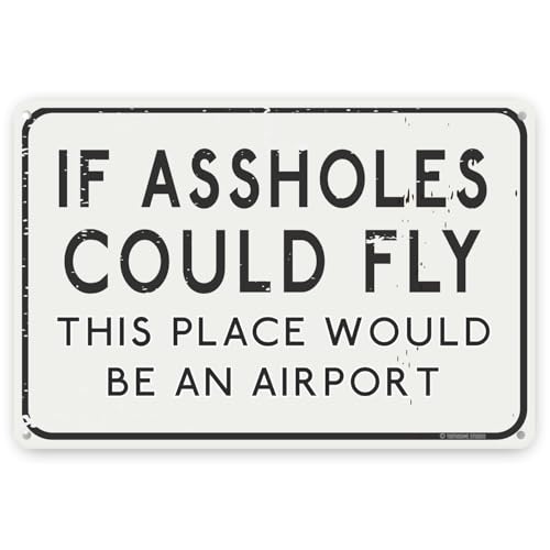 Toothsome Studios Lustiges Blechschild mit der Aufschrift "If A Holes Could Fly This Place Would Be an Airport", 30,5 x 20,3 cm von Toothsome Studios