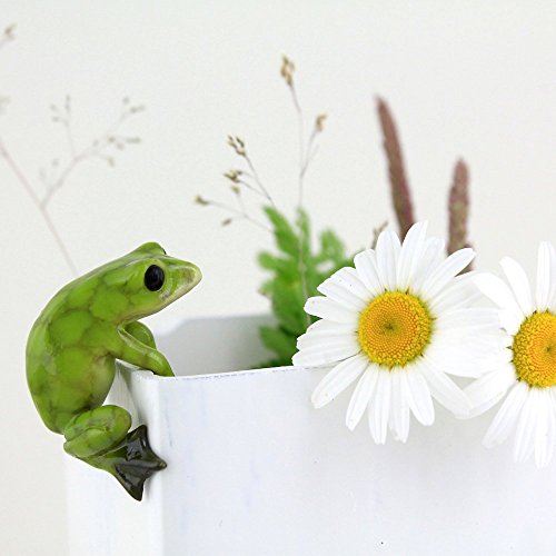 Top Collection Mini-Frosch-Blumentopf und Vase, für Feengarten und Terrarium, klein von Top Collection