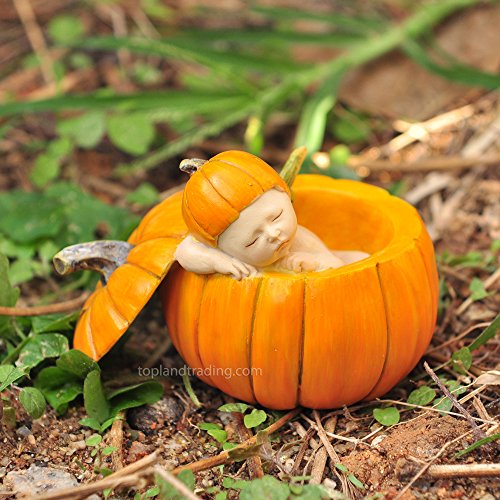 Top Collection Miniatur-Feengarten und Terrarium, schlafendes Feenbaby in orangefarbenem Kürbis von Top Collection