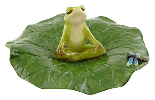 Top Collection Miniatur Feengarten und Terrarium Frosch meditierend auf Lotusblatt mit Libelle von Top Collection
