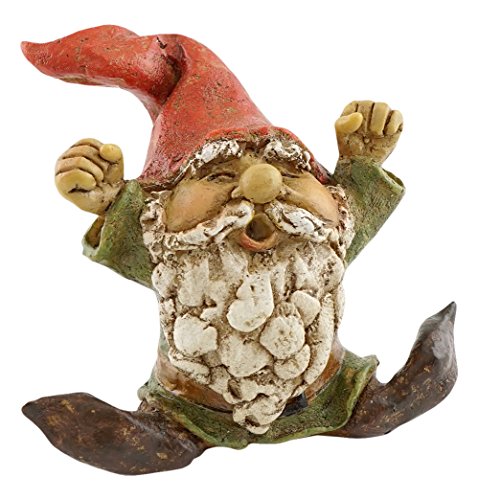 Top Collection Miniaturfigur für Feengarten und Terrarium, Gartenzwerg Top Collection Miniaturfigur für Feengarten und Terrarium, Gartenzwerg von Top Collection