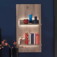 Wandregal in Wildeiche Holzoptik 50 cm breit von TopDesign