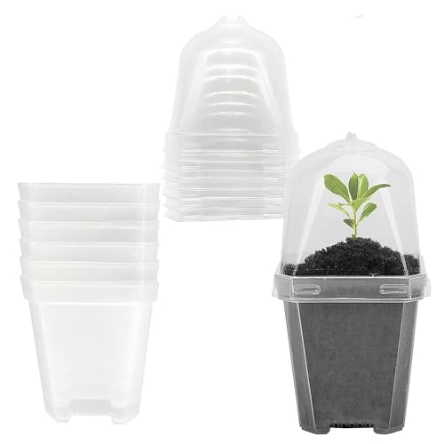 6 Sets Anzuchttöpfe Mit Kuppel Deckel, Quadratischer Samenstart Topf 15,5 cm Höhe für Sämlinge Gemüse Sukkulenten Stecklinge (Transparent) von TopHomer