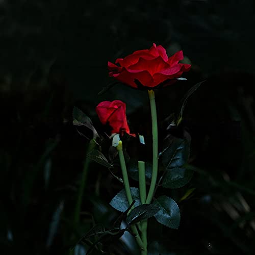 TopHomer Rot Rose Blume Solar Garten Lichter, Solar Garten Lichter mit 2 LED Bigger Rose Blumen, wasserdicht dekorative Lampen für PathwayLawn Yard Fence Grab von TopHomer