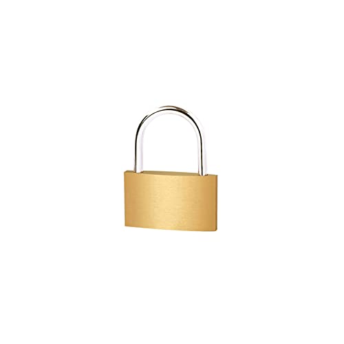 Vorhängeschloss aus Messing 30 mm Robustes Vorhängeschloss mit 3 Stück Schlüssel Wasserdicht Extra Hoher Bügel Messing Schloss für Spind, Garagen, Garten Zäune, Werkzeugkisten, Koffer [Klein] von TopHomer