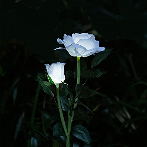 TopHomer Weiß Rose Blume Solar Garten Lichter, Solar Garten Lichter mit 2 LED Bigger Rose Blumen, wasserdicht dekorative Lampen für PathwayLawn Yard Fence Grab von TopHomer