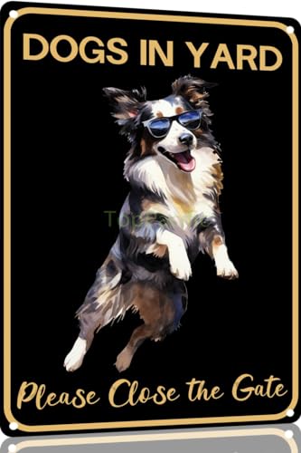 TopPacific Border Collie Vintage-Blechschild mit Hund im Hof, bitte schließen Sie das Tor, Metallkunst, Wandschild, Dekoration, Wandpaneel, Retro, 30,5 x 20,3 cm, für Küche für Männer und Frauen TopPacific Border Collie Vintage-Blechschild mit Hund im Hof, bitte schließen Sie das Tor, Metallkunst, Wandschild, Dekoration, Wandpaneel, Retro, 30,5 x 20,3 cm, für Küche für Männer und Frauen von TopPacific