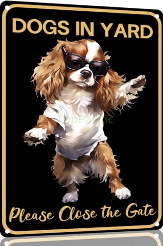 TopPacific Cavalier-King-Charles Spaniel, Vintage-Blechschild mit Hund im Hof, bitte schließen Sie das Tor, Metallkunst, Wandschild, Dekoration, Wandpaneel, Retro, 30,5 x 20,3 cm, für Küche für Männer TopPacific Cavalier-King-Charles Spaniel, Vintage-Blechschild mit Hund im Hof, bitte schließen Sie das Tor, Metallkunst, Wandschild, Dekoration, Wandpaneel, Retro, 30,5 x 20,3 cm, für Küche für Männer von TopPacific