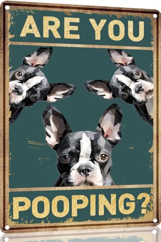 TopPacific Metallschild mit Boston Terrier-Motiv, Vintage-Stil, Aufschrift "Are You Pooping", lustiges Kunstposter, Dekoration, WC, Höhle, Bar, Zuhause, Badezimmer, Wanddekoration, Schild, 30,5 x 20,3 TopPacific Metallschild mit Boston Terrier-Motiv, Vintage-Stil, Aufschrift "Are You Pooping", lustiges Kunstposter, Dekoration, WC, Höhle, Bar, Zuhause, Badezimmer, Wanddekoration, Schild, 30,5 x 20,3 von TopPacific