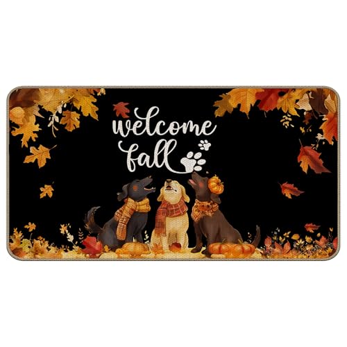 TopXmai Fußmatte mit Aufschrift "Welcome Fall", 43,2 x 76,2 cm, niedlicher Hunde-Kürbis-Outdoor-Matte für Haustür, Herbstdekoration, Fußmatte für drinnen und draußen, Schwarz TopXmai Fußmatte mit Aufschrift "Welcome Fall", 43,2 x 76,2 cm, niedlicher Hunde-Kürbis-Outdoor-Matte für Haustür, Herbstdekoration, Fußmatte für drinnen und draußen, Schwarz von TopXmai