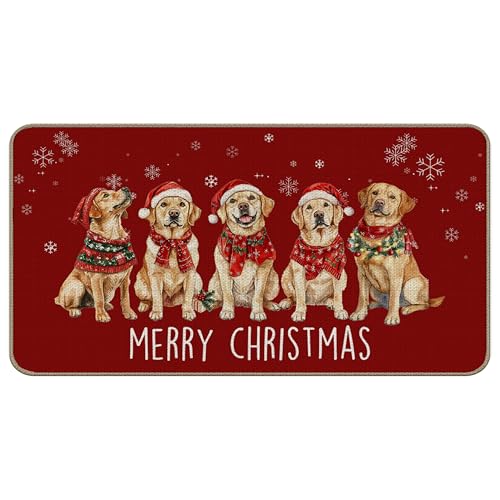 TopXmai Golden Retriever Weihnachts-Fußmatte, Geschenke für Golden Retriever-Liebhaber, rote Weihnachtsmatte für drinnen und draußen, Eingang, Winter-Schneeflocke, Willkommensmatten für Haustür, 43,2 von TopXmai