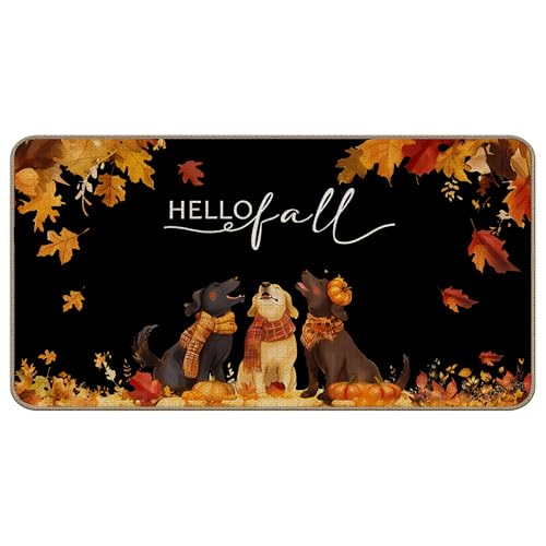 TopXmai Hello Fall Fußmatte mit Hundekürbis-Motiv, 43,2 x 76,2 cm, niedlicher Hunde-Kürbis-Outdoor-Matte für Haustür, Herbstdekoration, Fußmatte für drinnen und draußen, Schwarz TopXmai Hello Fall Fußmatte mit Hundekürbis-Motiv, 43,2 x 76,2 cm, niedlicher Hunde-Kürbis-Outdoor-Matte für Haustür, Herbstdekoration, Fußmatte für drinnen und draußen, Schwarz von TopXmai