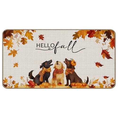 TopXmai Hello Fall Fußmatte mit Hundekürbis-Motiv, 43,2 x 76,2 cm, niedlicher Hunde-Kürbis-Outdoor-Matte für Haustür, Herbstdekoration, Fußmatte für drinnen und draußen von TopXmai