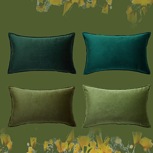 Topfinel Kissenbezug 30x50 Samt 4er Set grün Farbverlauf Kissenbezüge Kissenhülle sofakissen dekokissen Zierkissen Bezug deko für Sofa Schlafzimmer Wohnzimmer Kinderzimmer Topfinel Kissenbezug 30x50 Samt 4er Set grün Farbverlauf Kissenbezüge Kissenhülle sofakissen dekokissen Zierkissen Bezug deko für Sofa Schlafzimmer Wohnzimmer Kinderzimmer von Topfinel