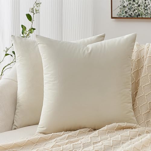 Topfinel Kissenbezug 40x40 cm Creme Weiß 2er Set Samt Kissenbezüge Kissenhülle Sofakissen Dekokissen Couchkissen Zierkissen Deko für Sofa Bett Wohnzimmer Schlafzimmer von Topfinel